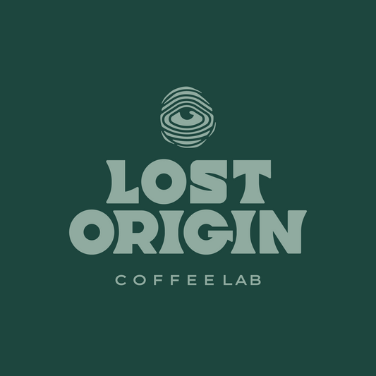 What makes Lost Origin different?