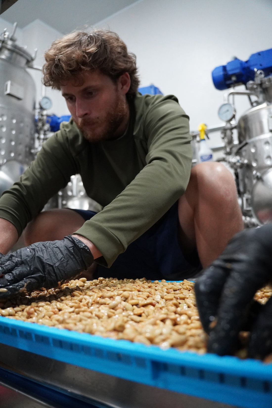 Lost Origin Coffee Lab